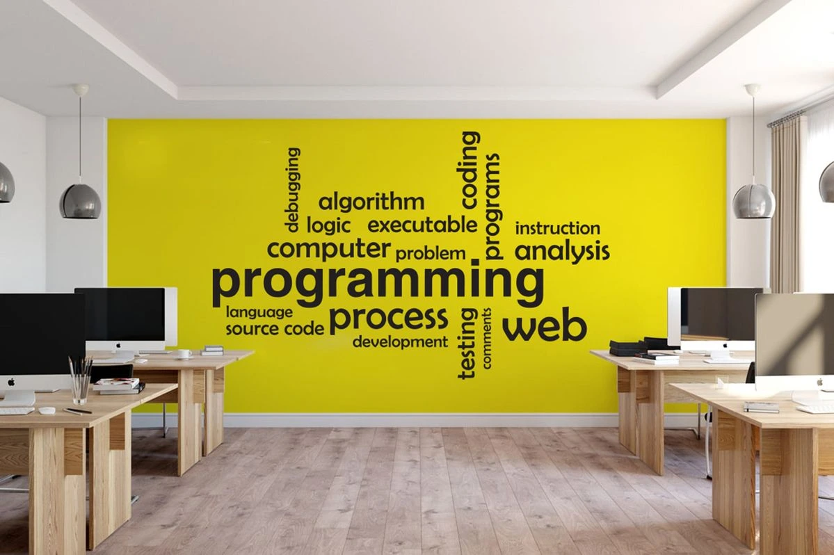 Web & App Development